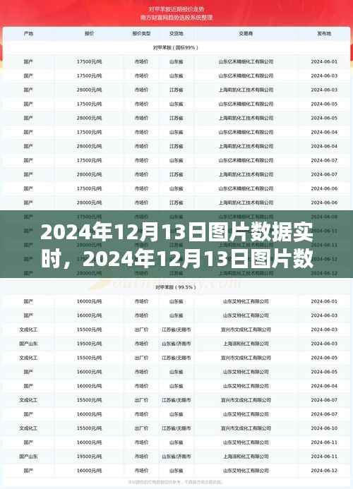 2024年12月13日图片数据实时获取与处理步骤指南，从初学者到进阶用户的全面指南