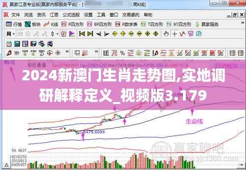 2024新澳门生肖走势图,实地调研解释定义_视频版3.179