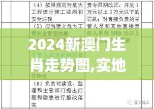2024新澳门生肖走势图,实地调研解释定义_视频版3.179