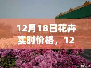 12月18日全国花卉市场实时价格走势解析