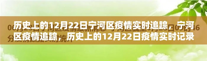 历史上的12月22日宁河区疫情回顾与实时追踪报告