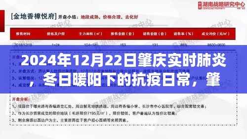 冬日暖阳下的抗疫日常,肇庆的肺炎守护故事(实时更新至2024年12月22日)