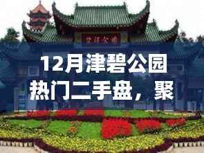 津碧公园热门二手盘解读与置业指南，热门房源一览及指南