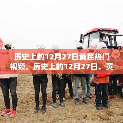 揭秘历史上黄芪热门视频，探寻十二月二十七日的秘密时刻