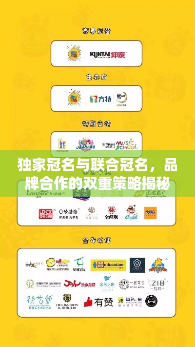 独家冠名与联合冠名,品牌合作的双重策略揭秘