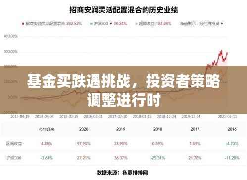 基金买跌遇挑战，投资者策略调整进行时