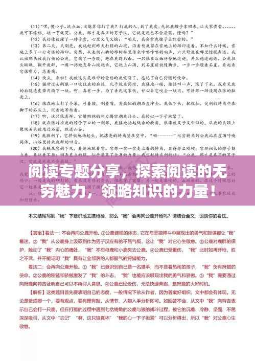 阅读专题分享，探索阅读的无穷魅力，领略知识的力量！