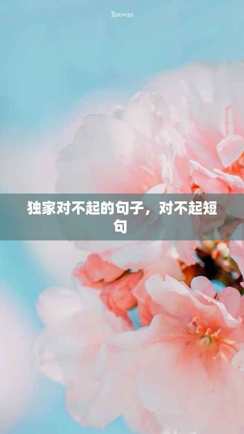 独家对不起的句子，对不起短句 