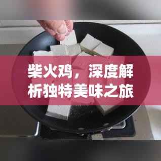 柴火鸡，深度解析独特美味之旅