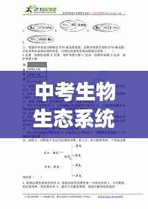 中考生物生态系统深度解析，专题解读与知识要点梳理