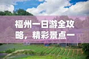 草创未就 第3页