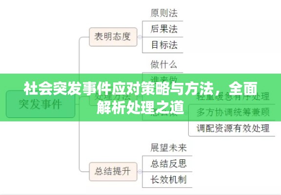 社会突发事件应对策略与方法，全面解析处理之道