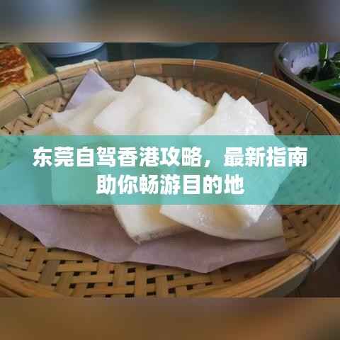 风华绝代 第3页