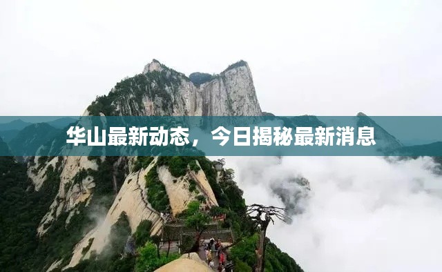 华山最新动态，今日揭秘最新消息