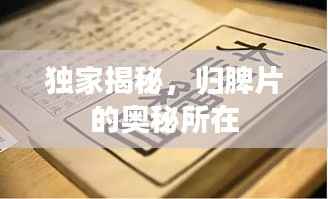 穷鸟入怀