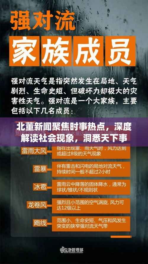 北董新闻聚焦时事热点，深度解读社会现象，洞悉天下事