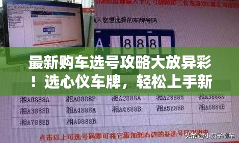 最新购车选号攻略大放异彩！选心仪车牌，轻松上手新车！