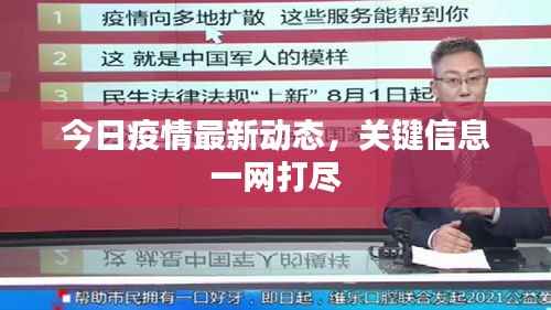 今日疫情最新动态，关键信息一网打尽