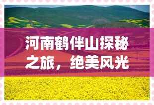 既往不咎