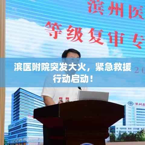 龙飞凤舞