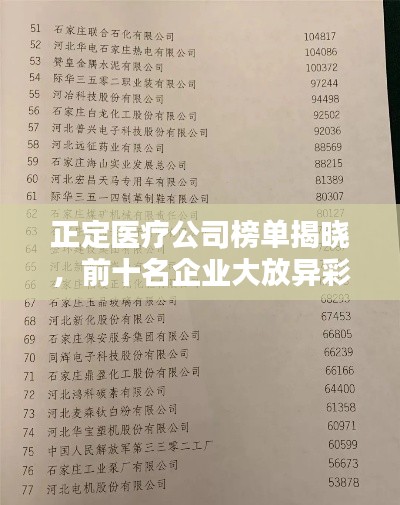 大雪纷飞 第2页