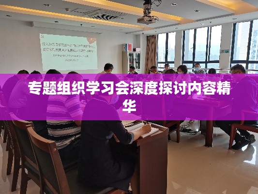 专题组织学习会深度探讨内容精华