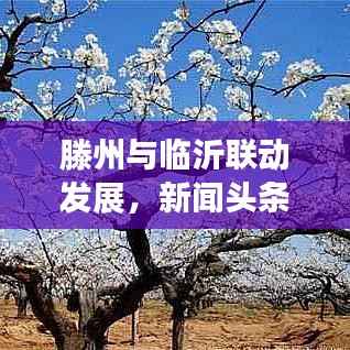 仙姿佚貌